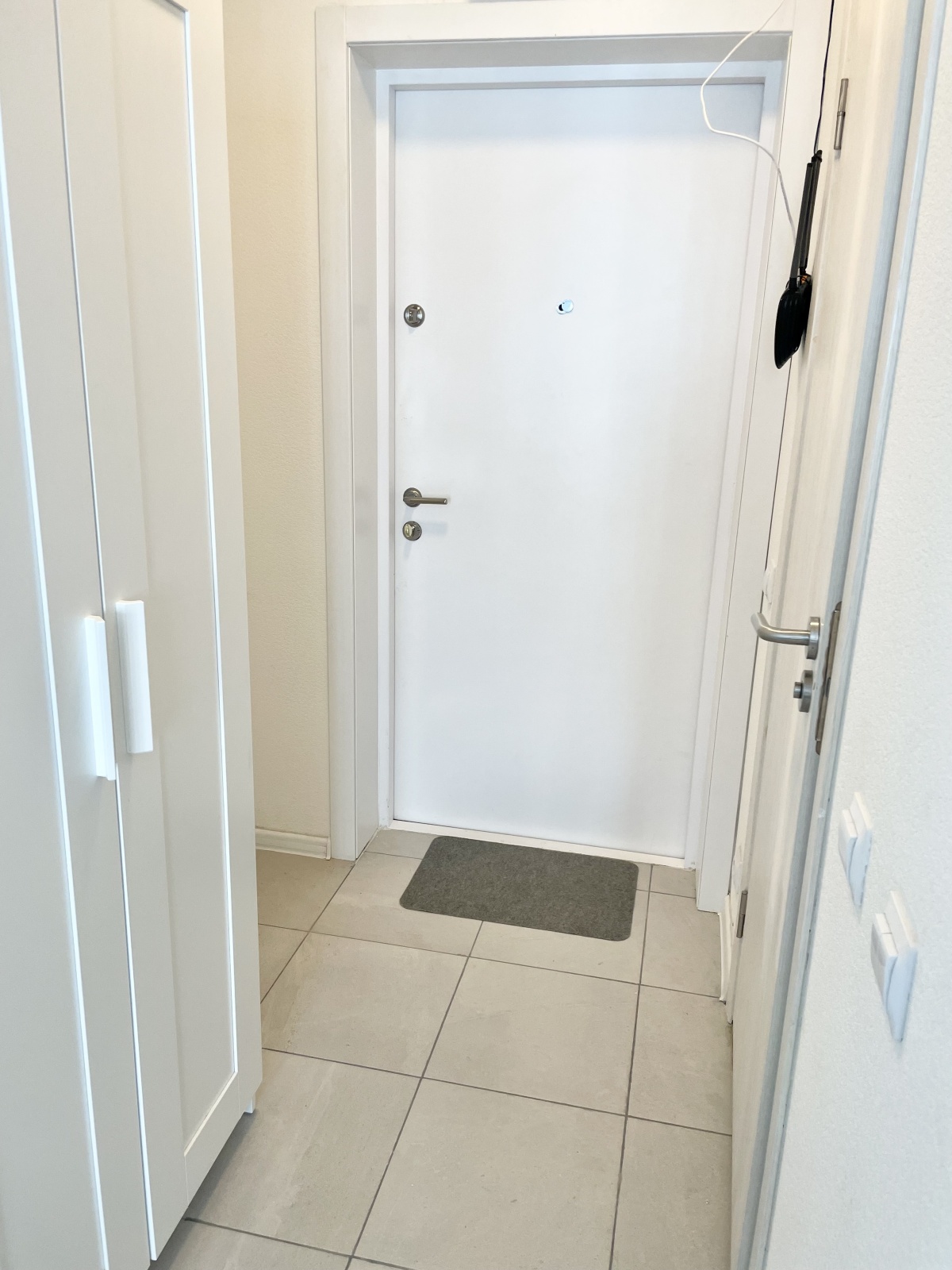 Art Life Apartment Orange Park